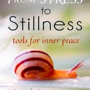 From Stress to Stillness: Tools for Inner Peace — Gina Lake | Best Mindfulness & Meditation Book